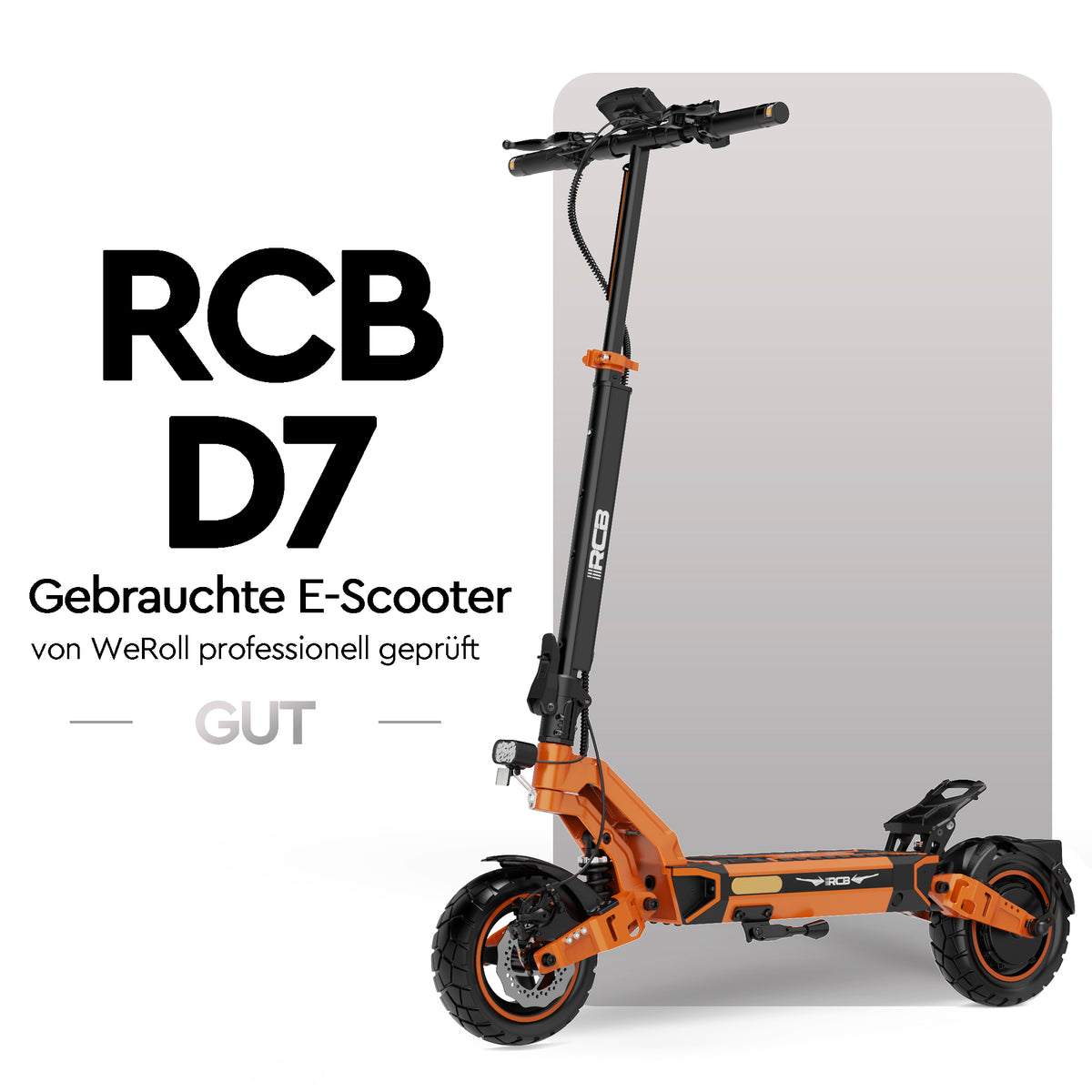 RCB Gebraucht Offroad E-Scooter D7 (ABE)