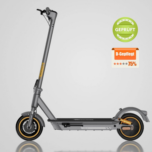 EVERCROSS gebrauchte E-Scooter EV10S MAX mit Straßenzulassung
