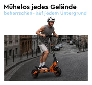 RCB Offroad E-Scooter D7 Ultra NFC Blinker (ABE)