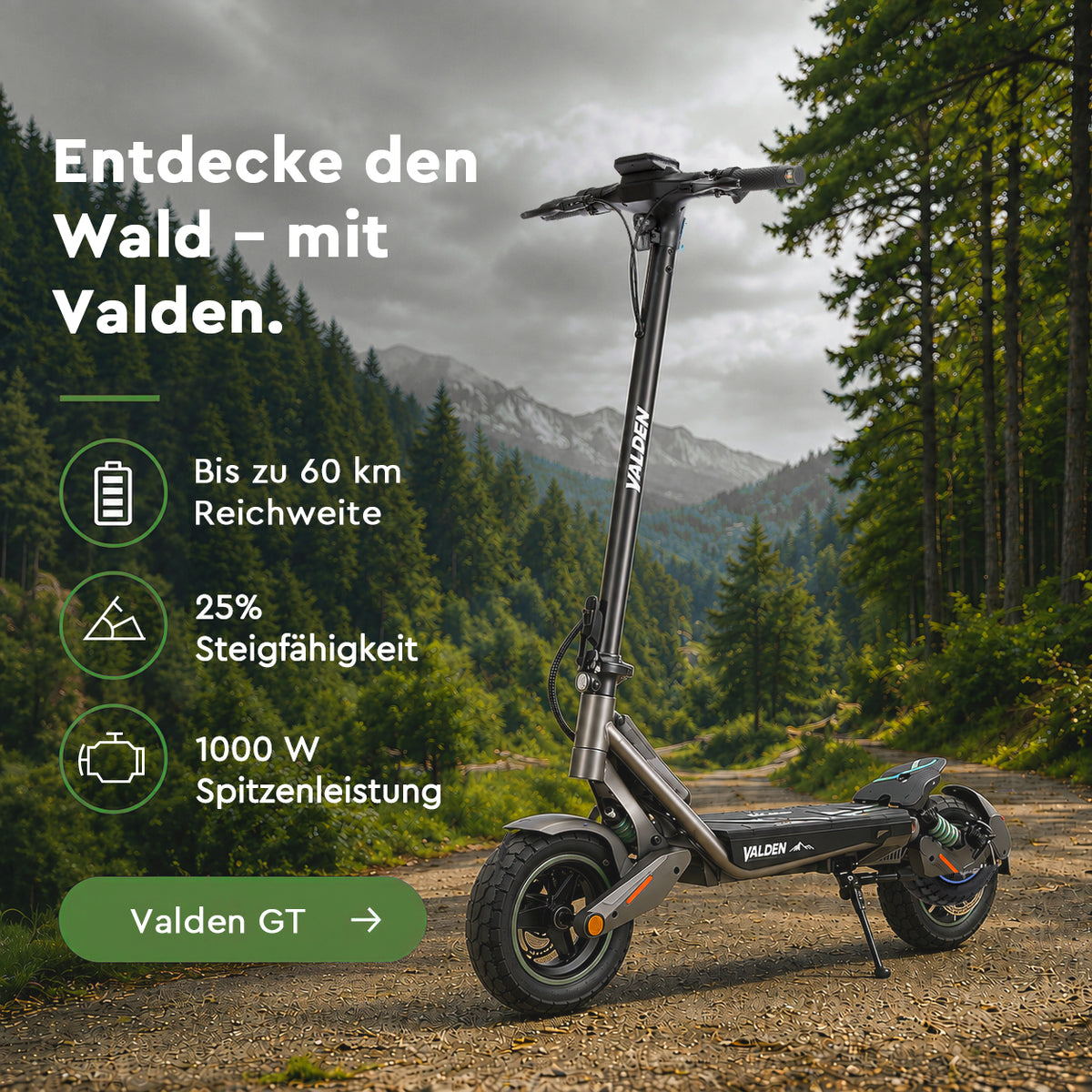Valden Gebraucht E-Scooter GT (ABE)