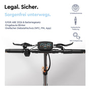 RCB Offroad E-Scooter D7 Ultra NFC Blinker (ABE)