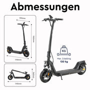 Joyor E-Scooter C10E (ABE)