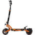 RCB E-Scooter D7 ABE