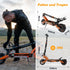 RCB E-Scooter D7 Pro ABE