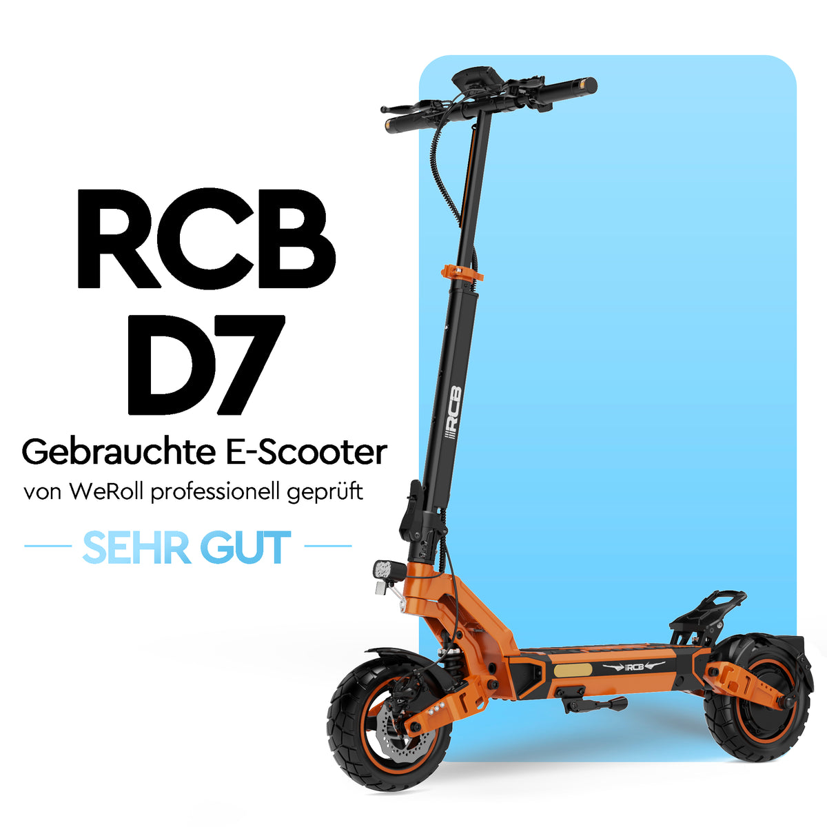 RCB Gebraucht Offroad E-Scooter D7 (ABE)