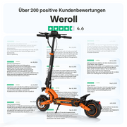 RCB Offroad E-Scooter D7 PRO Ultra NFC Blinker (ABE)