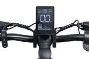 Joyor C10E E-Scooter Display mit Geschwindigkeit, Akkustand und Trip-Distanz, Joyor C10E E-Scooter mit Straßenzulassung [NEU] - WeRoll Tech