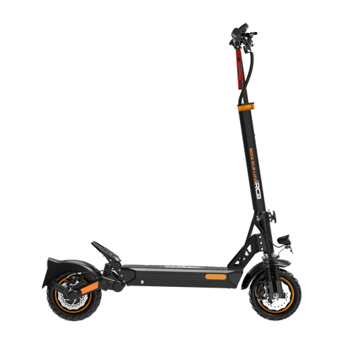 RCB E - Scooter D5 Pro ABE - WeRoll Tech