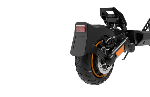 RCB E - Scooter D5 Pro ABE - WeRoll Tech