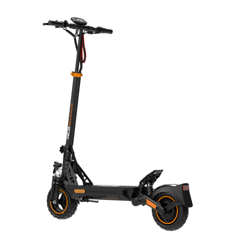 RCB E - Scooter D5 Pro ABE - WeRoll Tech